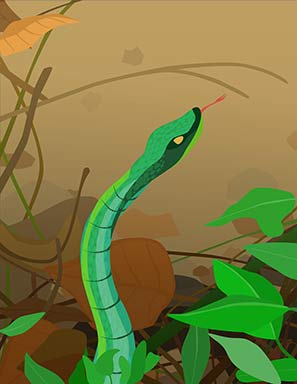 snake